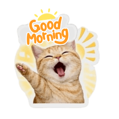 sontayar_20260331232323