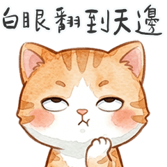 大橘貓貓翻白眼