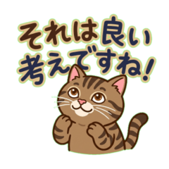 Brown Tabby Japanese Greeting 09