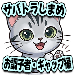 Shimame : Funny Silver Tabby Gap Style