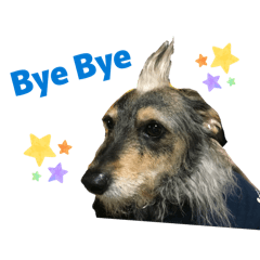 Monica_20260401000358