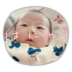 momomama_20260401062703