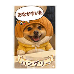 hideo_20260401071837