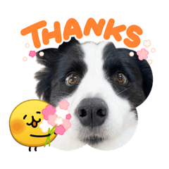 YAMATO_20260401064132