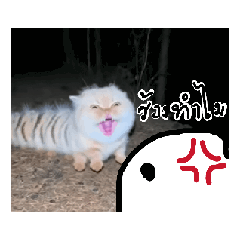 jhajah_20260401095307