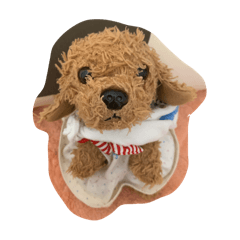 Rika&Miniko_20260328215952