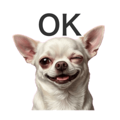 machaoto_20260401101209