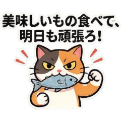 The Hungry Sassy Cat: Meal Edition