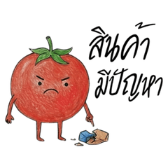 Little Tomato: Customer's Words