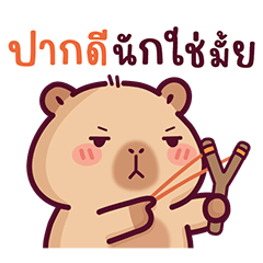 บงบง คาปิบาร่าเจ้าแสบ13