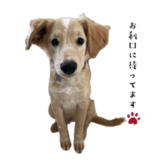 itsuki_20260401112409