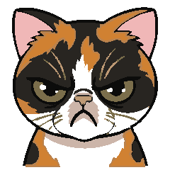 Grumpy Calico: My Daily Mood