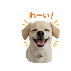 koharu_20260401114615