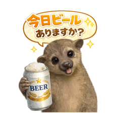 What an adorable kinkajou!