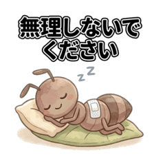 Ari's everyday polite language