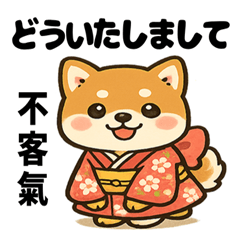 和服柴犬×台日｜台灣中文＆日文40個貼圖