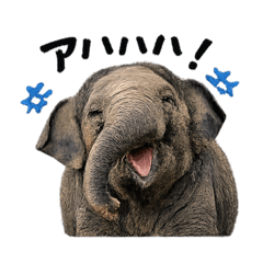 Shuki_20260401160107