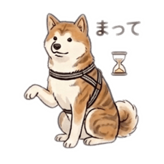 takahashi_20260401162905