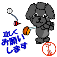 Poodle called Nakajima which plays golf