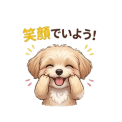 Maltipoo Stickers ver.2
