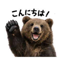 Shuki_20260401153632