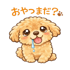 Toy poodle's cute days*