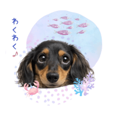 Hinata_20260401163836