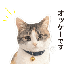 yoshiro_20260401
