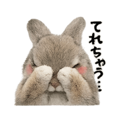 Shuki_20260401164112