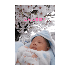 Seagull_20260401165031