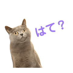 Tokio_20260401165223