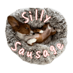 William_20260331150334