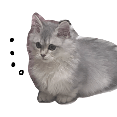 mimi_owner_20260401165212