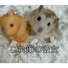 kinako_20260401165411