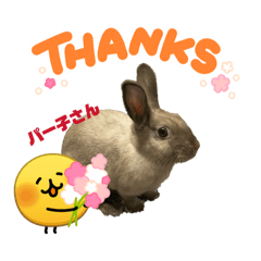 YAMADA_20260401170700