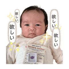 Yuichiro_20260401124240