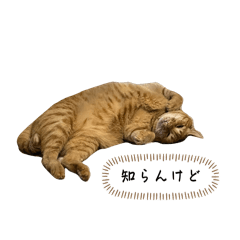 arisa_20260401144502