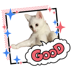 Hinata_20260401173438