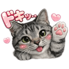 yuichi_20260329155341