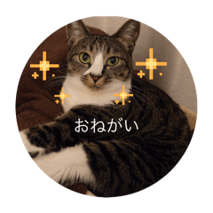 Yuka_20260401110318