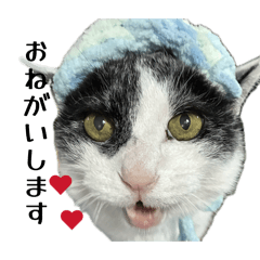 magu&buri_20260401181809