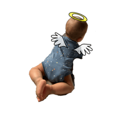 tanbo_20260401180947