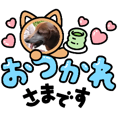 akasa_20260401181646