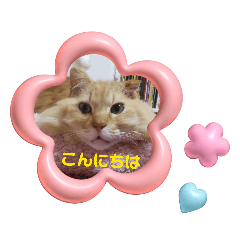 y2010518_202604011820