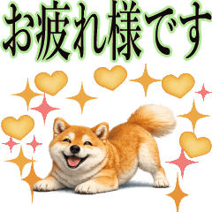 気づかい上手な動く柴犬★