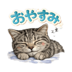 yuichi_20260401153155