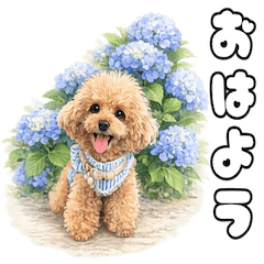 Kurumi Gentle Elegant Days