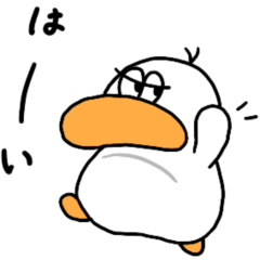 いつも使える ダックダック