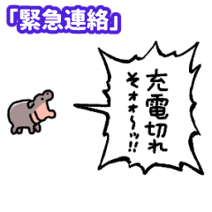 Yelling Baby Hippo: Urgent Message