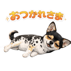 Haruka Yamamoto_20260401132953